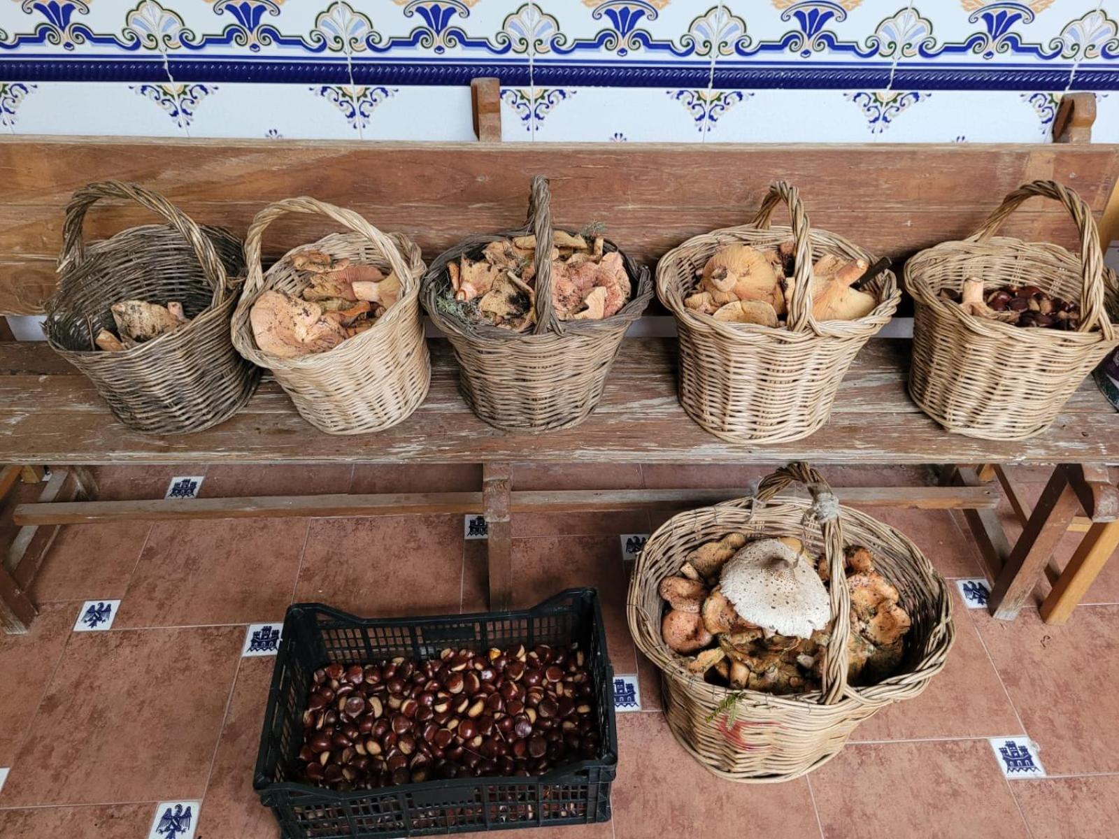 Villa Casa Pozo Tarama Casavieja Esterno foto